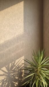 دهان خارجي بروفايل بالخبر